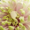 Personalised Fine 9ct Gold Disc Necklace in Yellow or Rose Gold