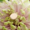 Personalised Fine 9ct Gold Disc Necklace in Yellow or Rose Gold