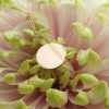 Personalised Fine 9ct Gold Disc Necklace in Yellow or Rose Gold