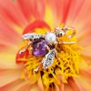 Vintage Inspired 9ct Rose Gold Bee Pendant Necklace