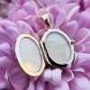 9ct Yellow Gold Openwork Oval Locket Necklace