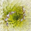 9ct yellow gold climber stud earrings with cubic zirconia