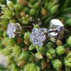 18ct White Gold Diamond Flower Shaped Earrings
