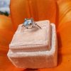 18ct White Gold Delicate Aquamarine & Diamond Ring