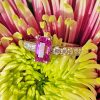 Natural 1.80cts Pink Sapphire & Diamonds Platinum Engagement Anniversary Ring