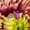 Natural 1.80cts Pink Sapphire & Diamonds Platinum Engagement Anniversary Ring